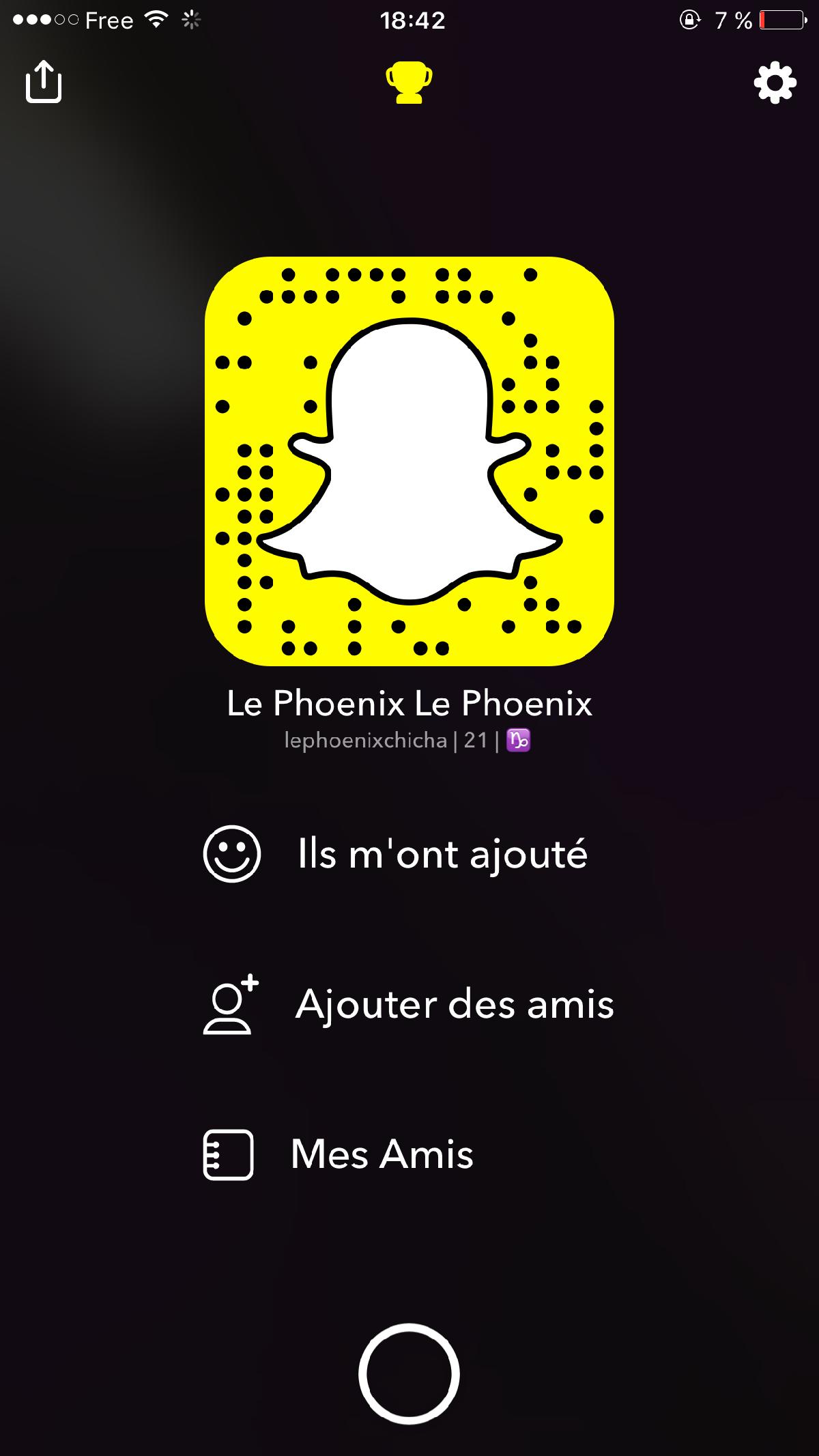 Le Phoenix
