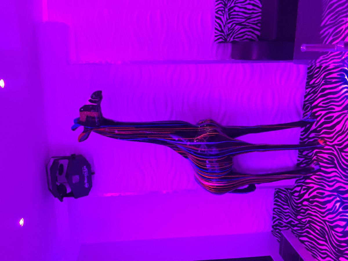 Seven Luxury Hookah Lounge 