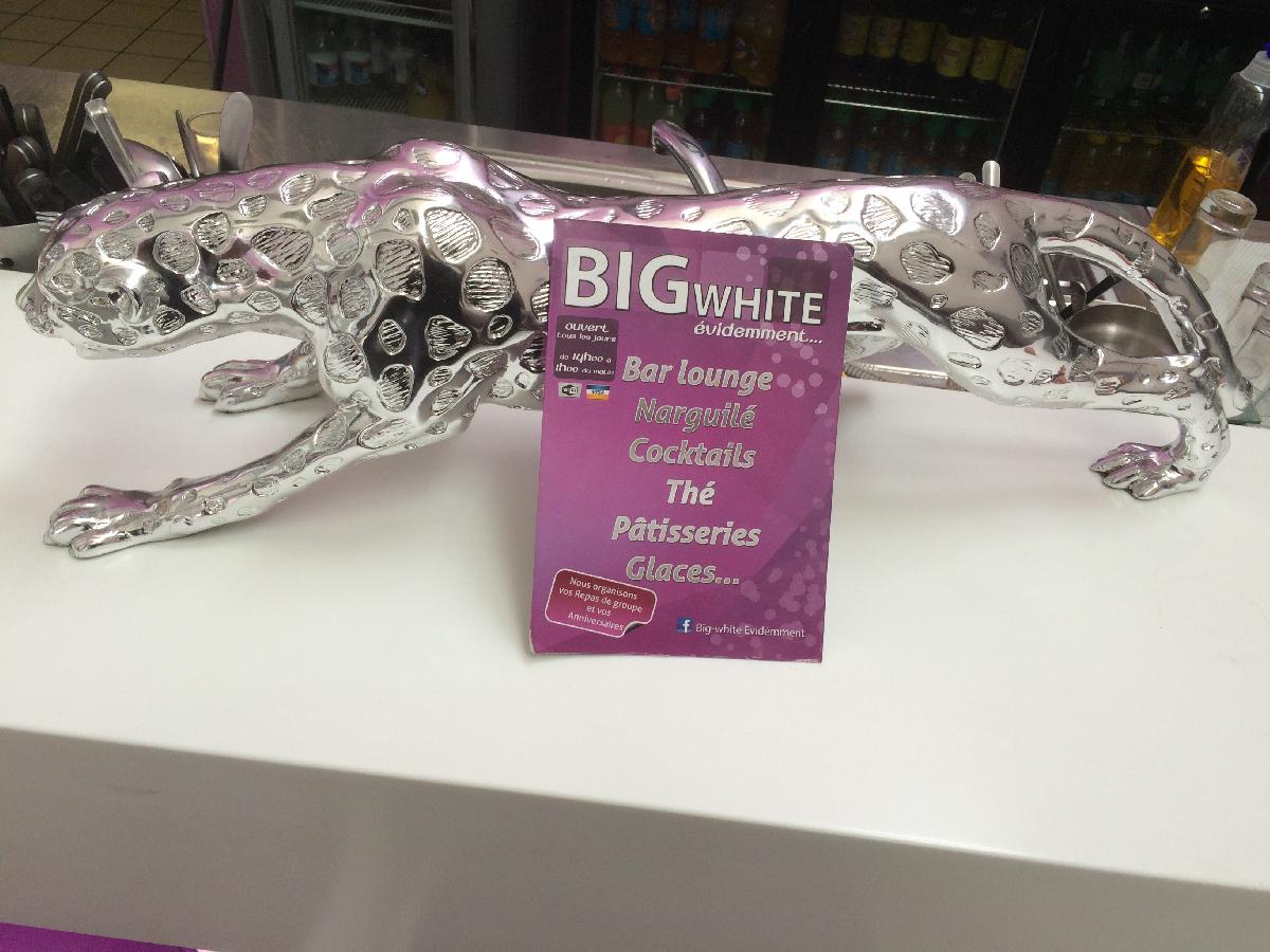 BIG WHITE EVIDEMMENT